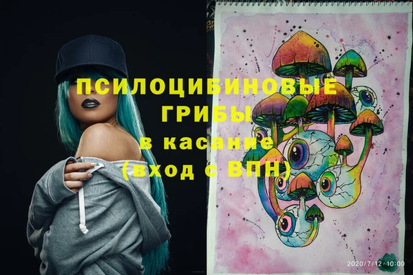 МДПВ Горнозаводск